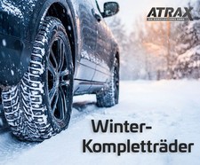Satz Winterräder Ford Ecosport 205 60 R16 Semperit Original ab 10/17 2538195