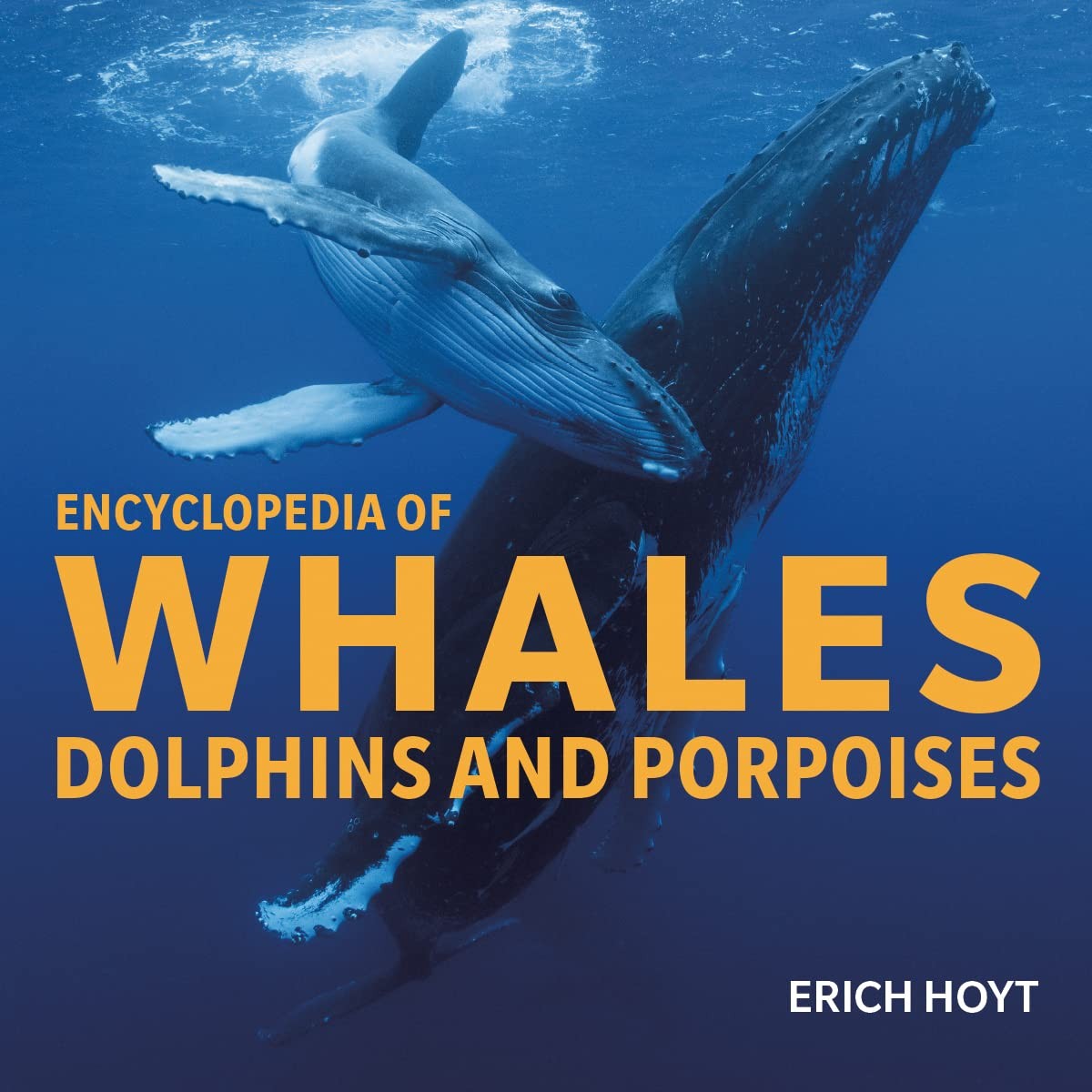 Encyclopedia of Whales, Dolphins & Porpoises - Erich Hoyt - Paperback -Very Good