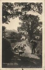 Sheep Being Hereded Down Lakeland Lane, Tewkesbury, UK 1925 Original RPPC
