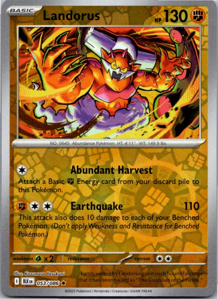 Landorus 053/086 Holo Rare Black Bolt Pokemon Reverse Holo