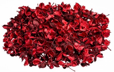 NaDeco  Cotton Pods rot 250g | Baumwoll Knospen | Deko Blüten | getrocknete Natu
