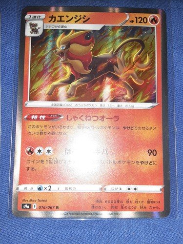 Pyroar Holo R Pokemon Card 016/067 S9A Battle Region
