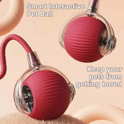 Automatic Rolling Cat Dog Toy Ball 2 Pack USB Rechargeable Self-Moving Kitten