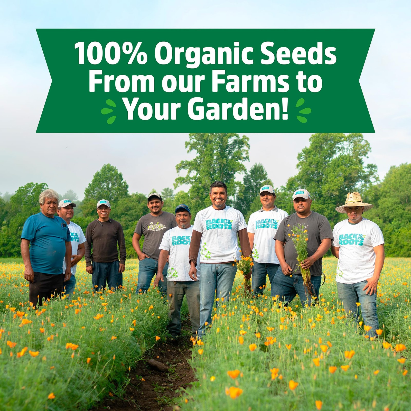 Organic Heirloom Vegetable and Herb Seed Bundle 30 Pack Non GMO Plant Seeds