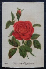 GUSTAVE PIGANEAU British Roses by British American Tobacco 1924 SILK