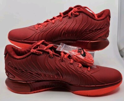 Nike LeBron XXI 21 James Gang Crimson Red Basketball Shoes Sz 18
