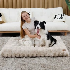 Bingopaw Human Dog Bed Thicken Foam Base Cozy Sleep Bed for Dog wRemovable Cover