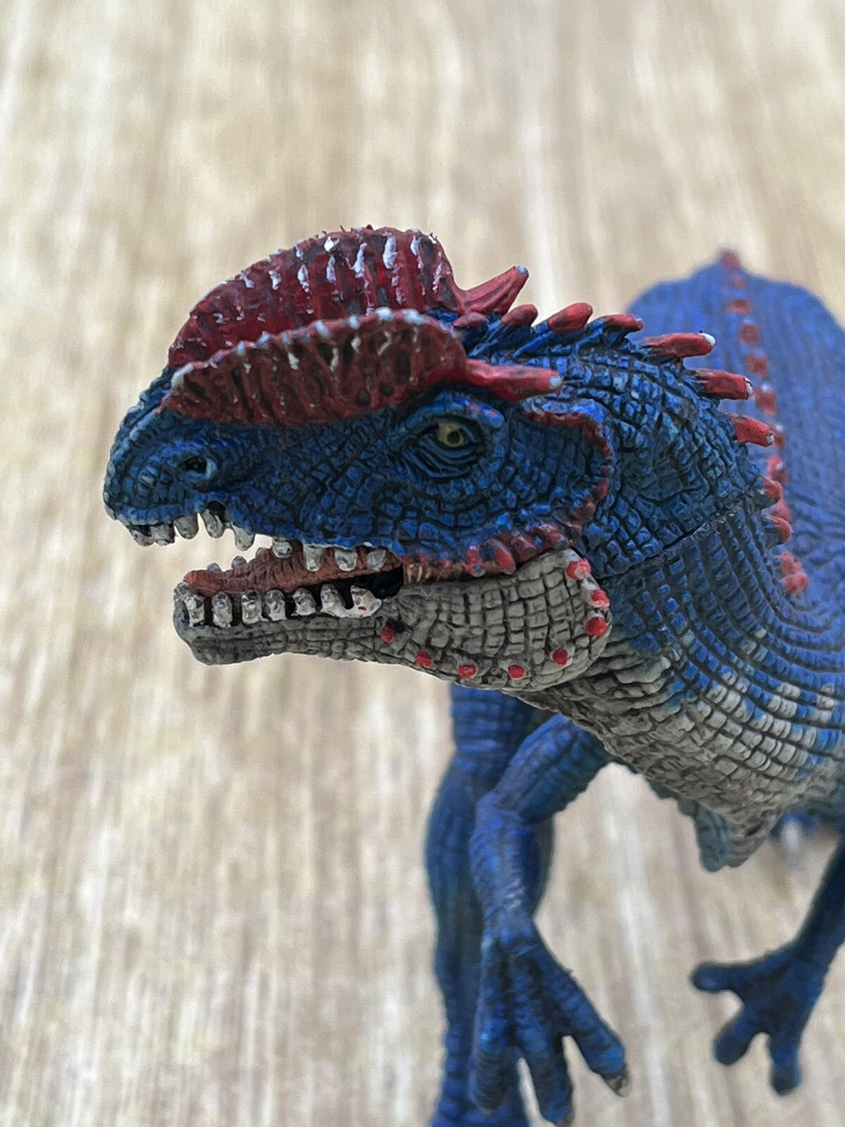 Picture 4 of 5
