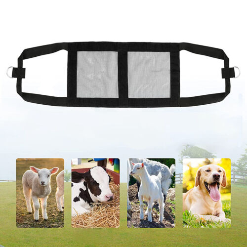Assist Poultry Animal Weighing Sling Dogs Cats Calf Scale Baby Belt Washable - Afbeelding 1 van 12