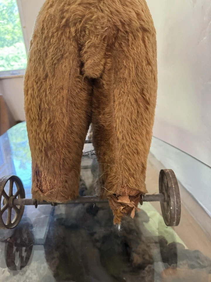 Oso Steiff sobre ruedas de principios de 1900 Foto 2 de 4