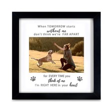 Pet Memorial Picture Frame, Sympathy Gift, Dog Cat Tribute,Black