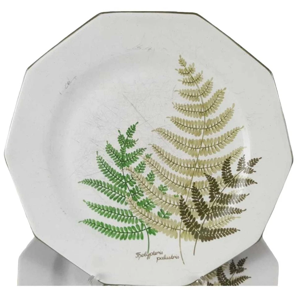 6er Set Kuchenteller Dessertteller Frühstücksteller Winterling Kirchenlamitz Far - Bild 2 von 4