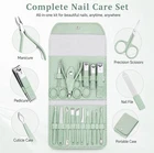16pc Stainless Steel Manicure Kit Nail Clipper Set Ingrown Toenail Tools w/ Case