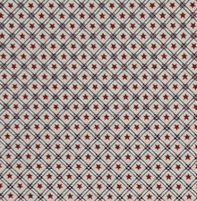 Country Stars Patriotic FABRIC TRADITIONS Red White Blue Cotton BY THE YARD