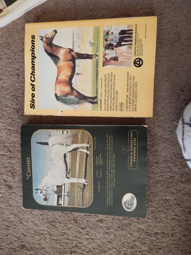 Lot of 10 Arabian Horse World Magazine 60's 70's 80's Equestrian - Picture 10 of 16