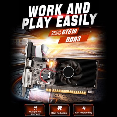 GT610 1GB Discrete Graphics Computer Desktop Easy Office Game DDR3 Memory VGA .