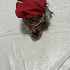 VTG Little Red Riding Hood Big Bad Wolf Mask Made In USA