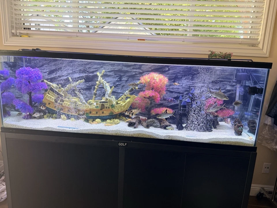 Complete 170 Gallon Aquarium Setup – Turnkey, Premium Gear & Livestock - Image 2 of 4