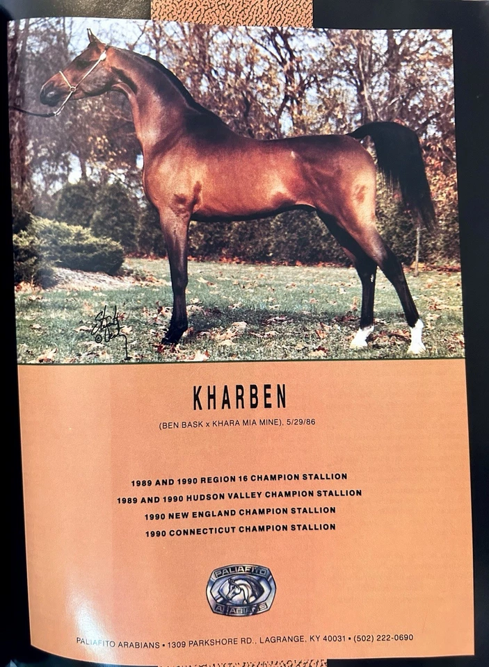 Arabian Horse World Magazine Spanish Issue 💌 February 1991 Vintage - Image 3 of 4