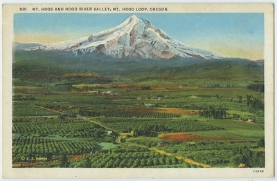 Mt Hood Loop Mt Hood River Valley Or Vintage Postcard Oregon White Border