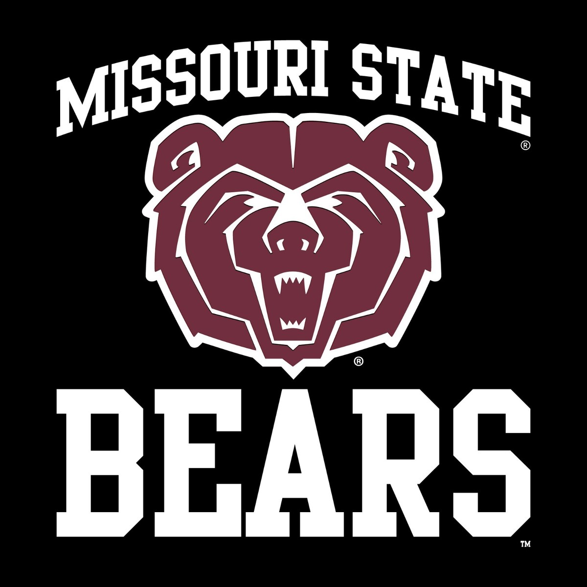 Missouri State Bears Arch Logo Hoodie - Black | eBay