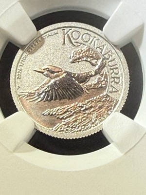 2026P Australia Platinum $15 Kookaruba 1/10 Ounce Platinum Coin