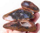 Woodward Ranch Plume 5.5 oz. Agate lapidary faced rough lot Ja4 — photo 1