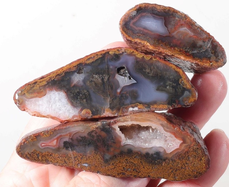 Woodward Ranch Plume 5.5 oz. Agate lapidary faced rough lot Ja4