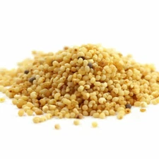 Poppy seeds Red Poppy Papaver Premium Quality FREE SHIP