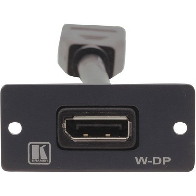Kramer Electronics W-DP DisplayPort Wall Plate Insert, Single Slot, White