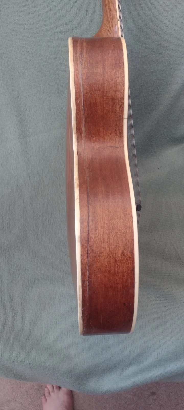 Picture 5 of 8