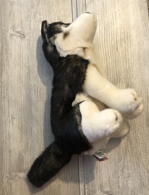 Siberian Husky Dog Stuffed Animal Plush S1D23