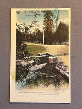 Michigan, MI, Harrisville, Old Watering Trough, Chas. Mayo Jeweler, ca 1910