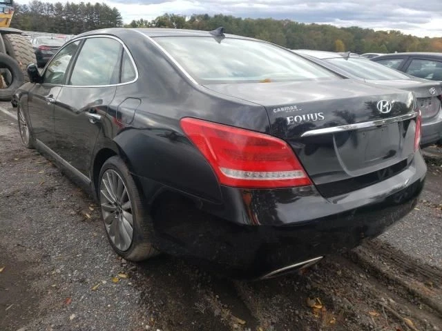 Capucha para 11-16 EQUUS 185439 Foto 3 de 4