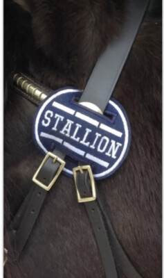 Premium Photo | A black horse with a bridle and a tag that says'horse