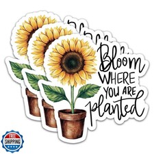  3Pcs Bloom Where You are Planted Stickers Plant Stickers Tree Lover Sticker