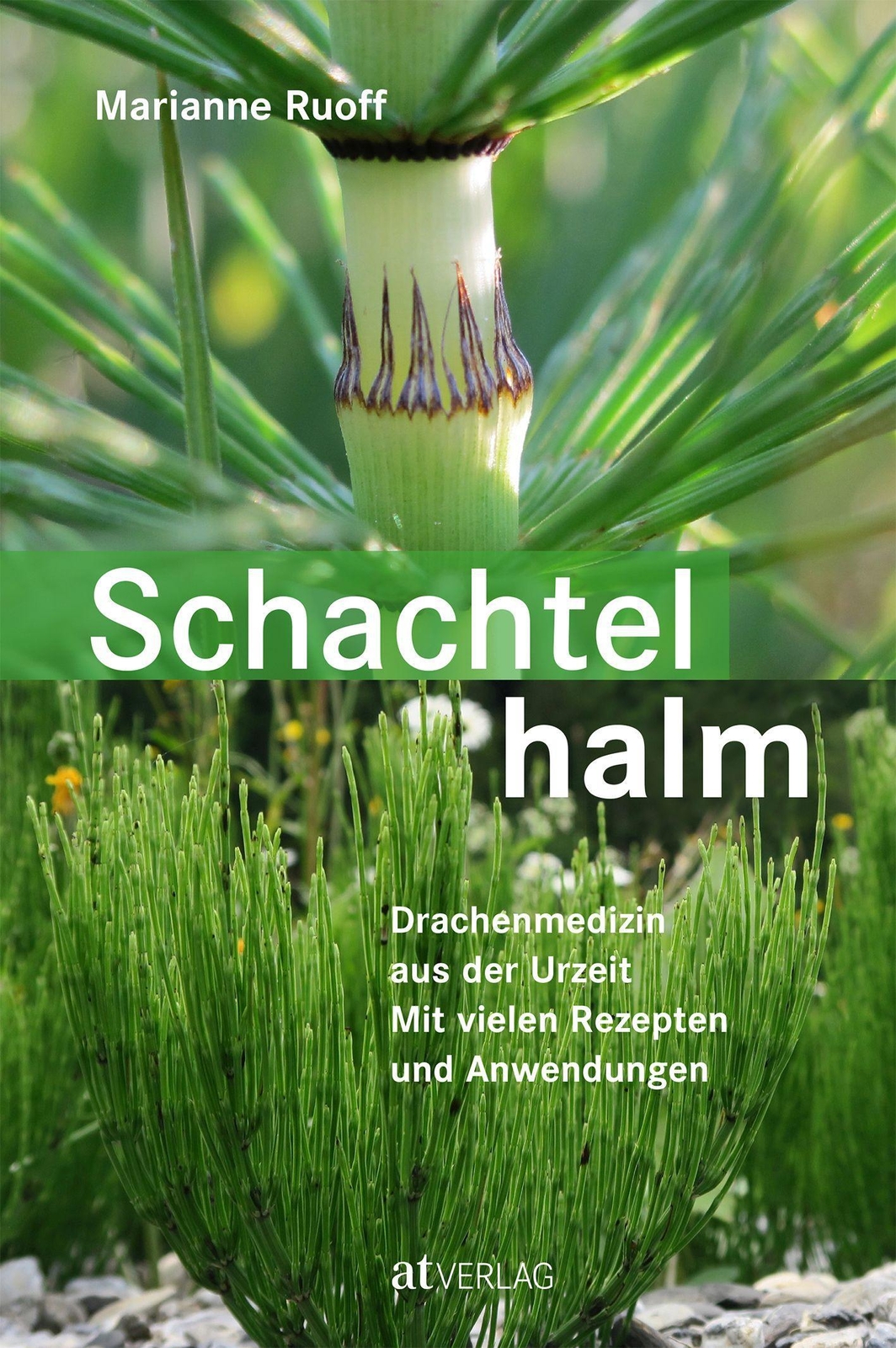 Schachtelhalm, Marianne Ruoff