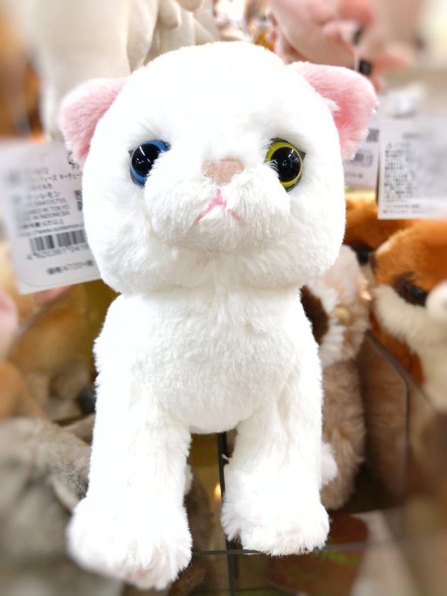 花井祐介 ACME Furniture STUFFED CAT with BOX 花井祐介 ACME Furniture STUFFED CAT with BOX 花井祐介 ACME