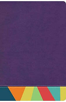 BIBLIA RVR 1960 DE ESTUDIO ARCO IRIS SIMIL PIEL MORADO MULTICOLOR