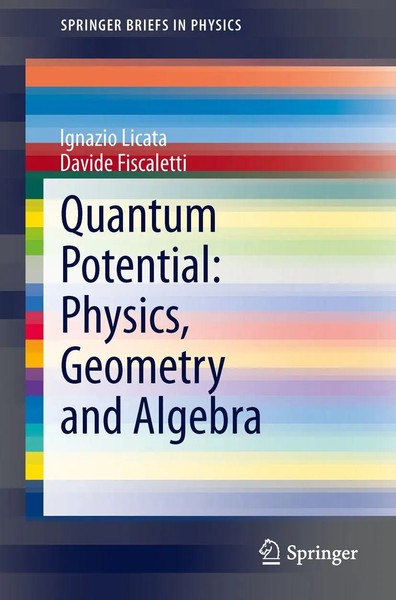 Quantum Potential: Physics, Geometry And Algebra Ignazio Licata (U. A.) Buch Xiv-image