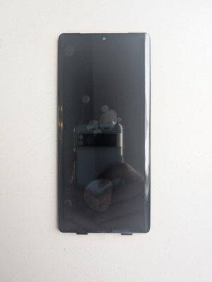 Google Pixel 6 Pro OLED Display Touchscreen Bildschirm - Schwarz