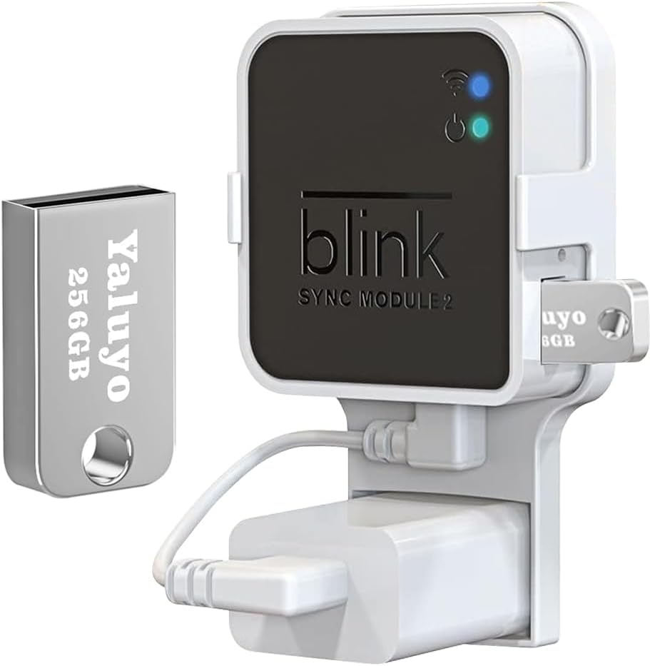 256GB USB Flash Drive and Blink Sync Module 2 Mount, save Space and Easy Mount B-image