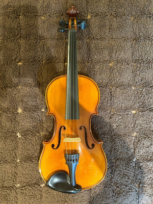 Maestro violin with two bows