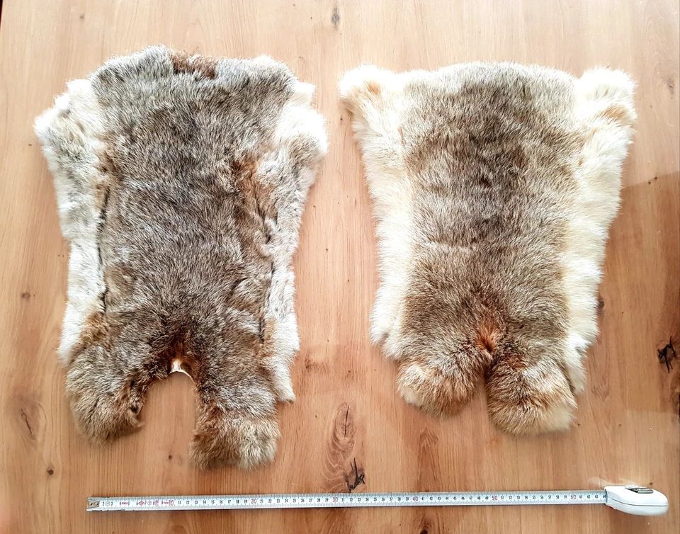 2x Original Kaninchenfell, Natur Felle, ca. 55–60 cm, Deko Handarbeit, selten - Bild 3 von 4