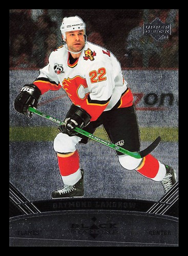 2006 Daymond Langkow #13