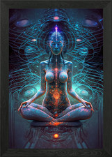 Mindful Mastery Framed Wall Art Poster Canvas Print Picture