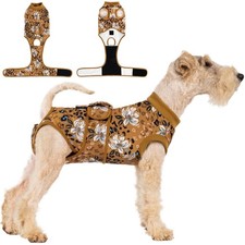 Aimydog Dog Recovery Suit, After Surgery Bodysuit for Spay Neuter Wound Protect