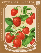 Vintage Meyercord Decal Strawberry X-105-A