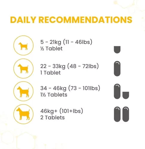 90 Count Vetzyme Flexible Joint Tablets for Dogs, Hip & Joint Care Supplements - Picture 7 of 9
