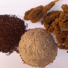 Ceylon Fingerhirse Samen Ragi natur Bio rein Kurakkan Mehl frisch Pulver